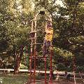 Andy McDougal; Ellison Park Family